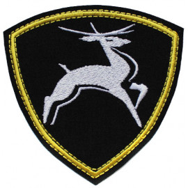 Russian Special force Internal Troops Volga district Russian patch